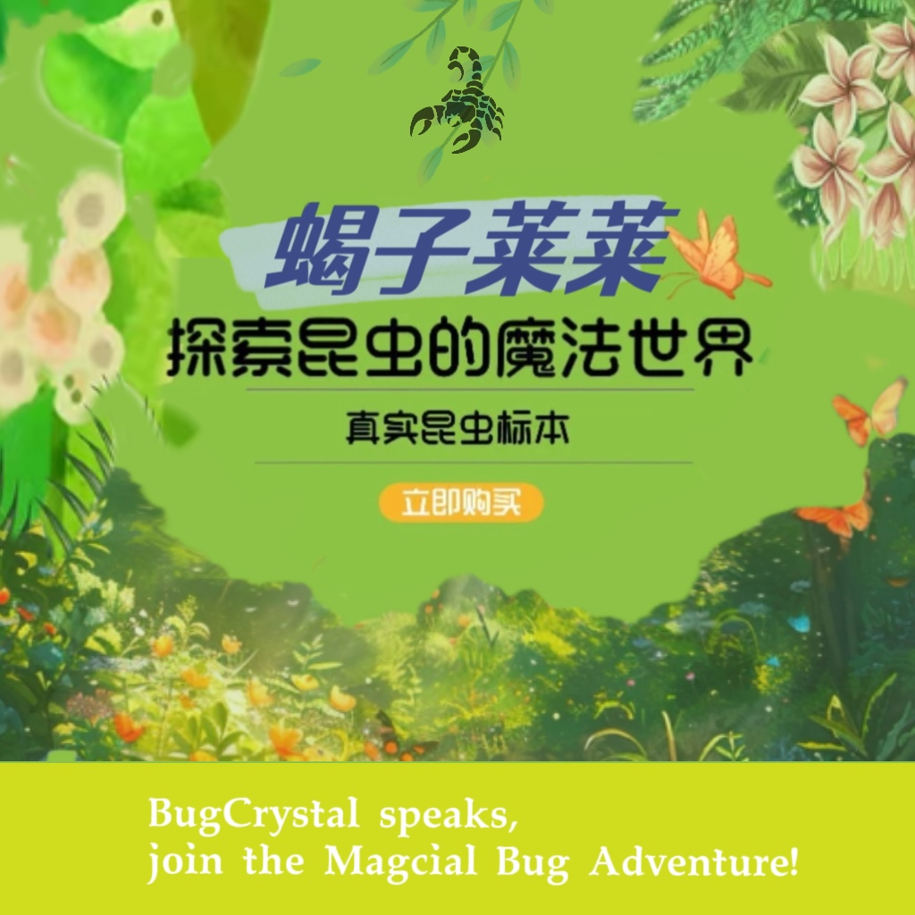 《盲盒》适合作为特别礼物周年庆活动版