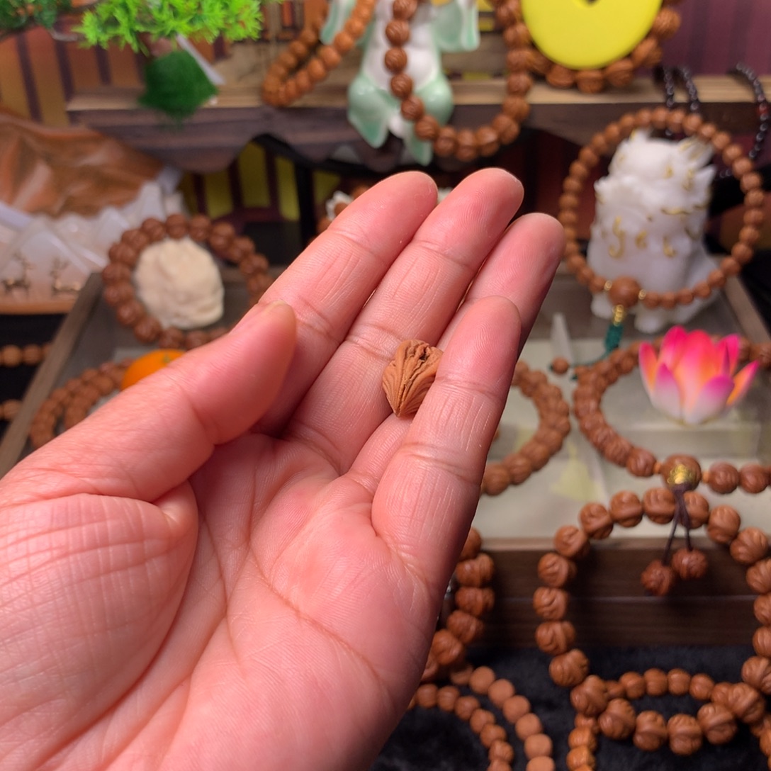 征***者吊坠桃核生命之源11