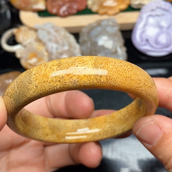 硅化珊瑚（珊瑚玉）手镯未镶嵌57