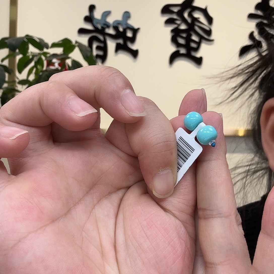 绿松石未镶嵌珠宝奇石43