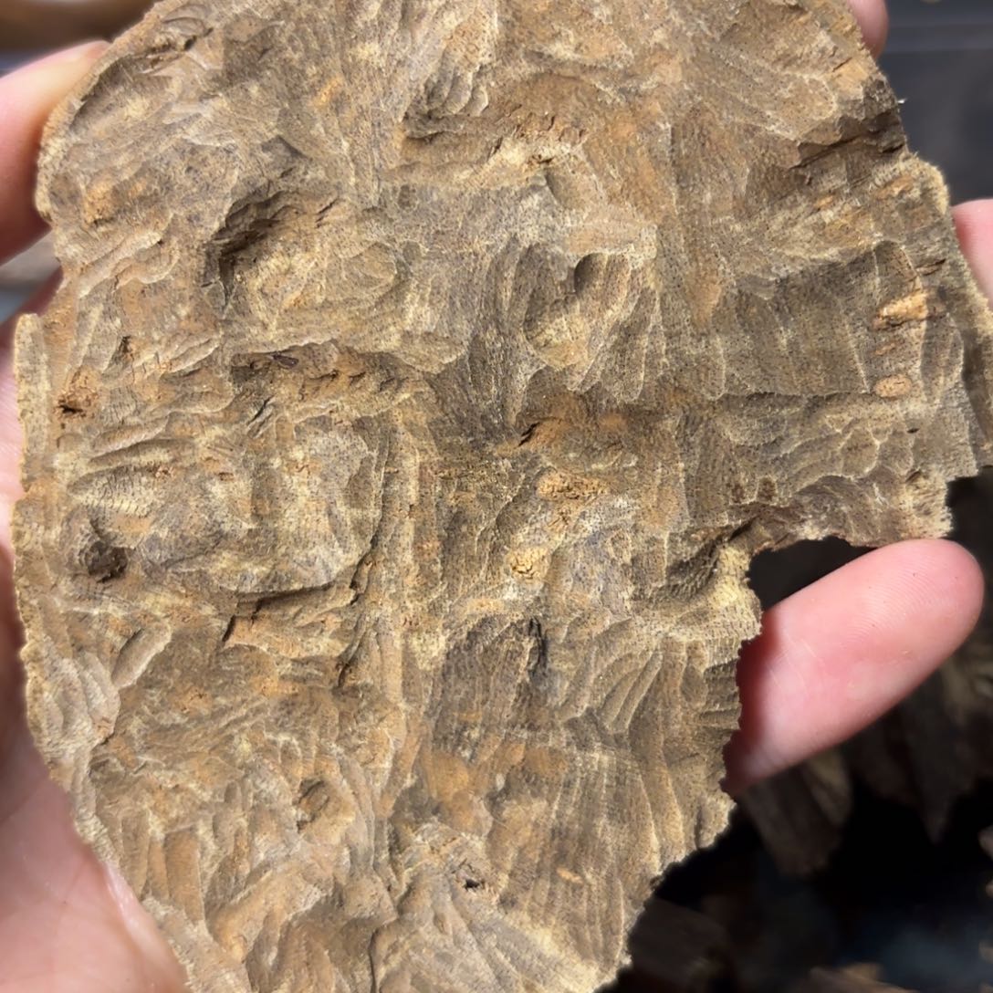 沉香沉香碎屑香港版头沉香