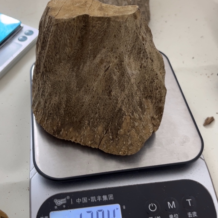 沉香沉香木制品海南沉香水格块料179克