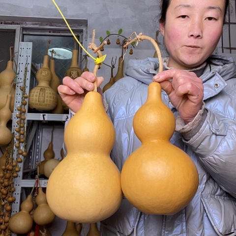 摁*铃天然植物葫芦文玩