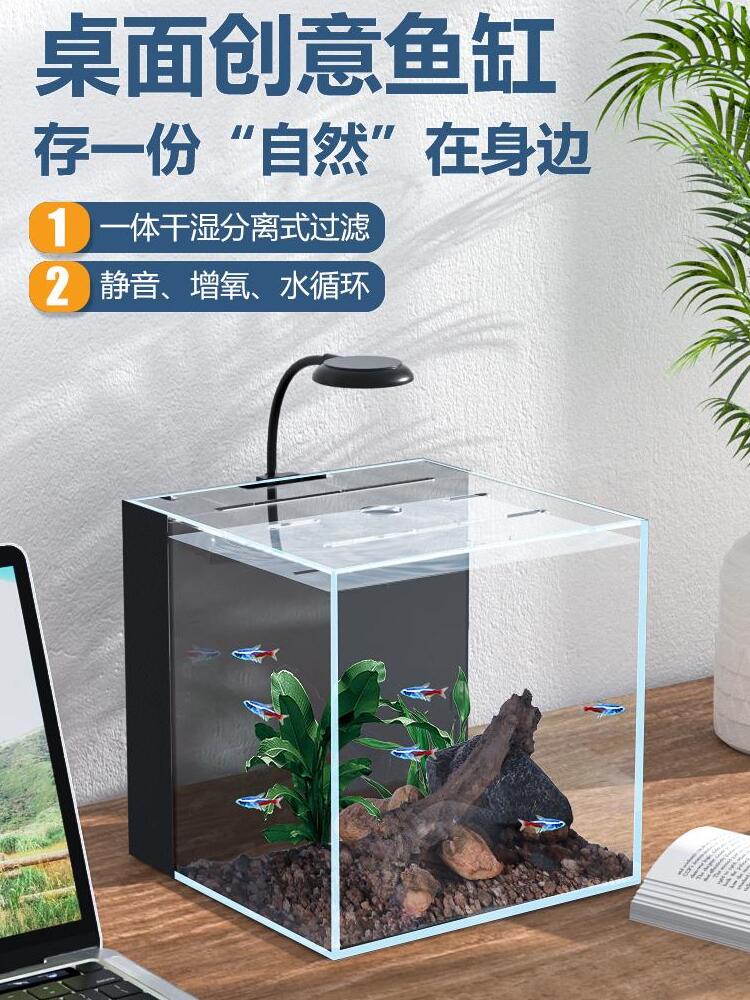 新款超白鱼缸客厅小型金晶背滤侧滤生态水造景懒人免换水水族箱