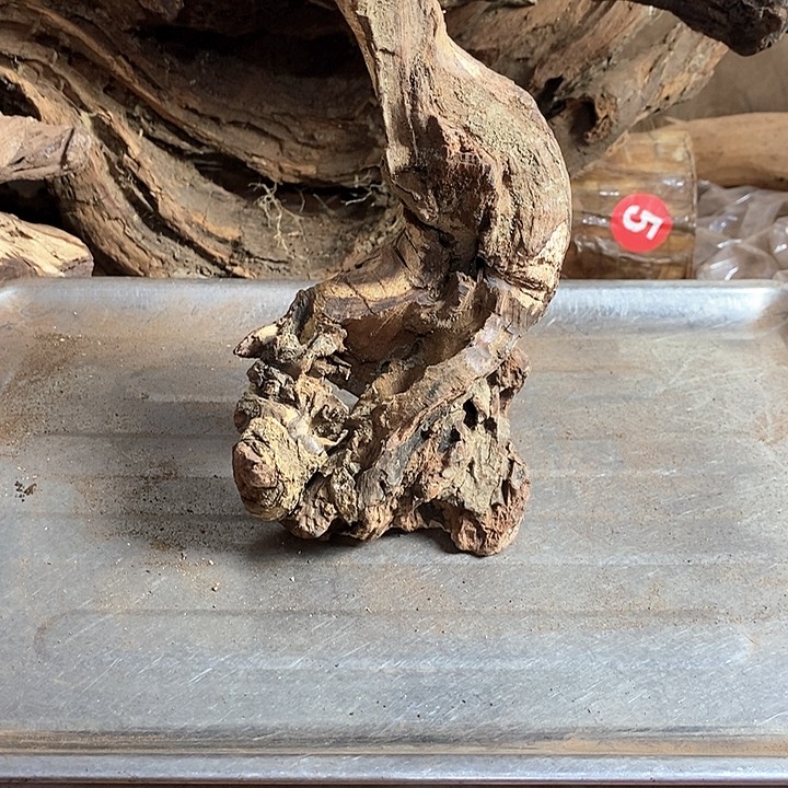 黄花梨/降香黄檀一*