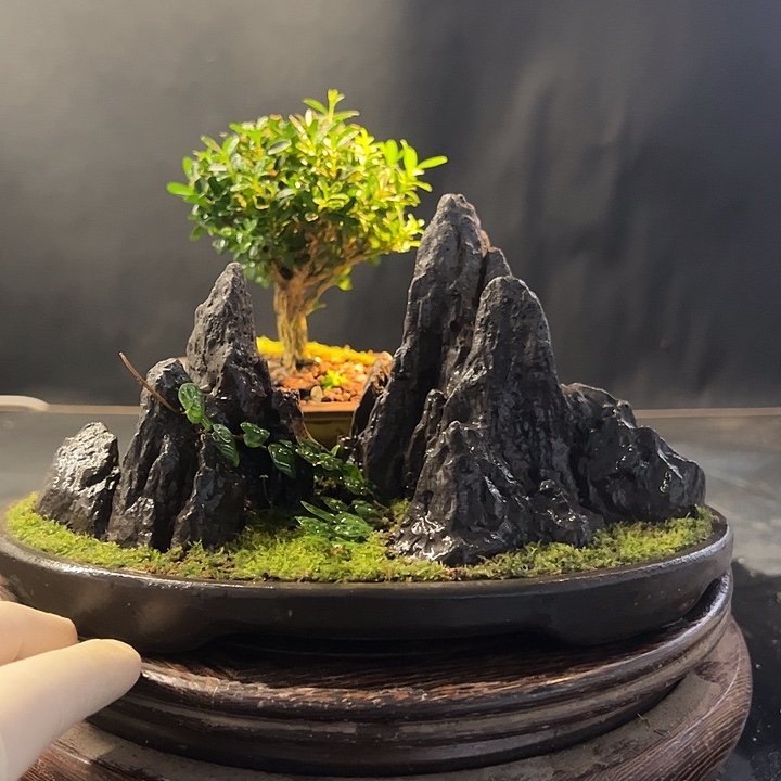 手工制作宋山石盆景009