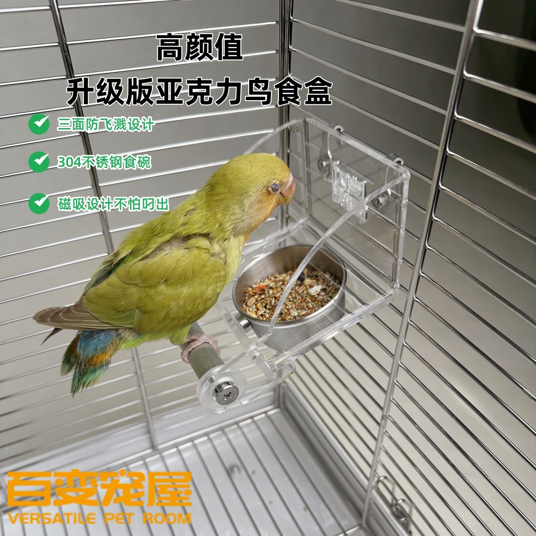 九九小鹦鹦鹉防溅鸟内挂食盒吸防撒防溅亚克力透明不锈钢食槽喂鸟