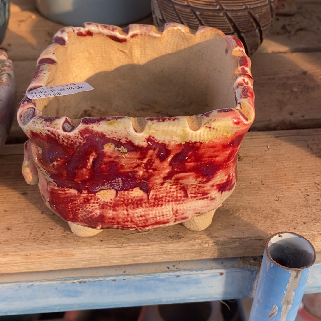 64号多肉盆口径9.6