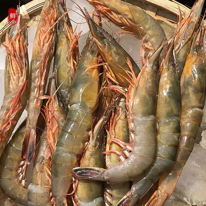 【东海野生中号滑皮虾3斤】1斤80头左右超低温锁鲜发货