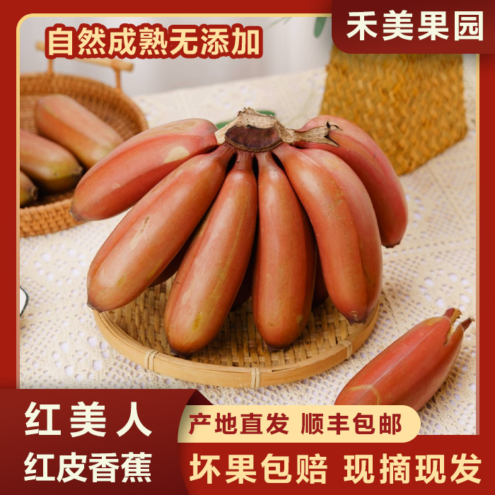 正宗福建红皮红美人蕉甄选特大香蕉新鲜稀有水果批发现摘现发