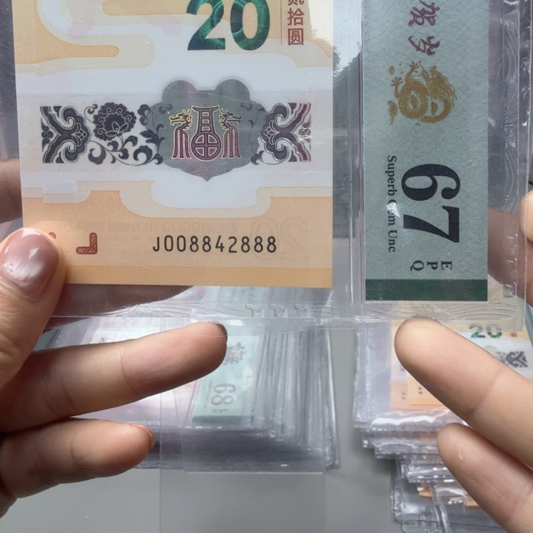 塑料008842888全偶尾豹子8