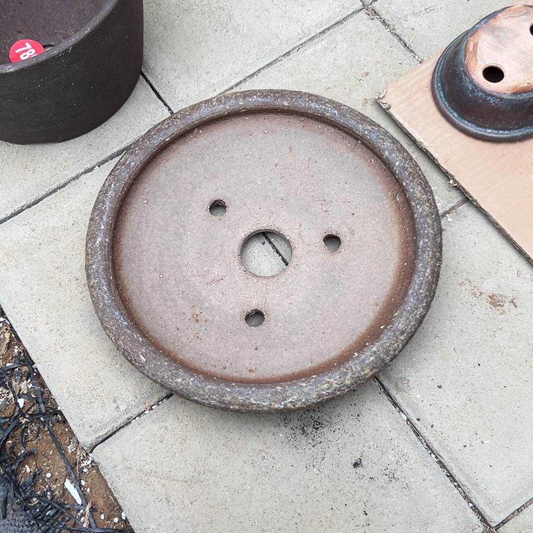 修***说对你的喜欢就如同这日子只增不减819