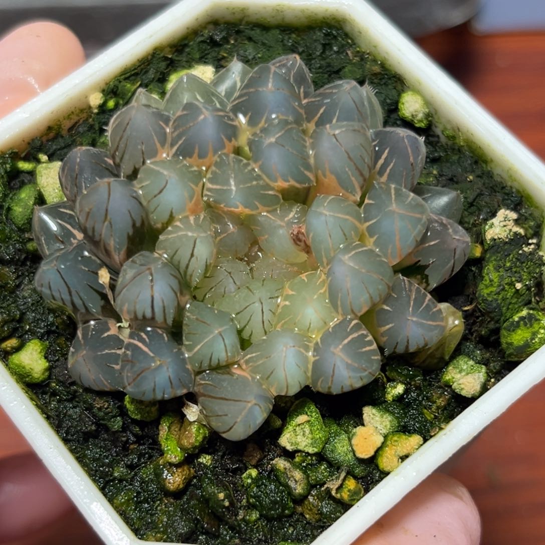 恭喜发财大吉大利916霓虹灯