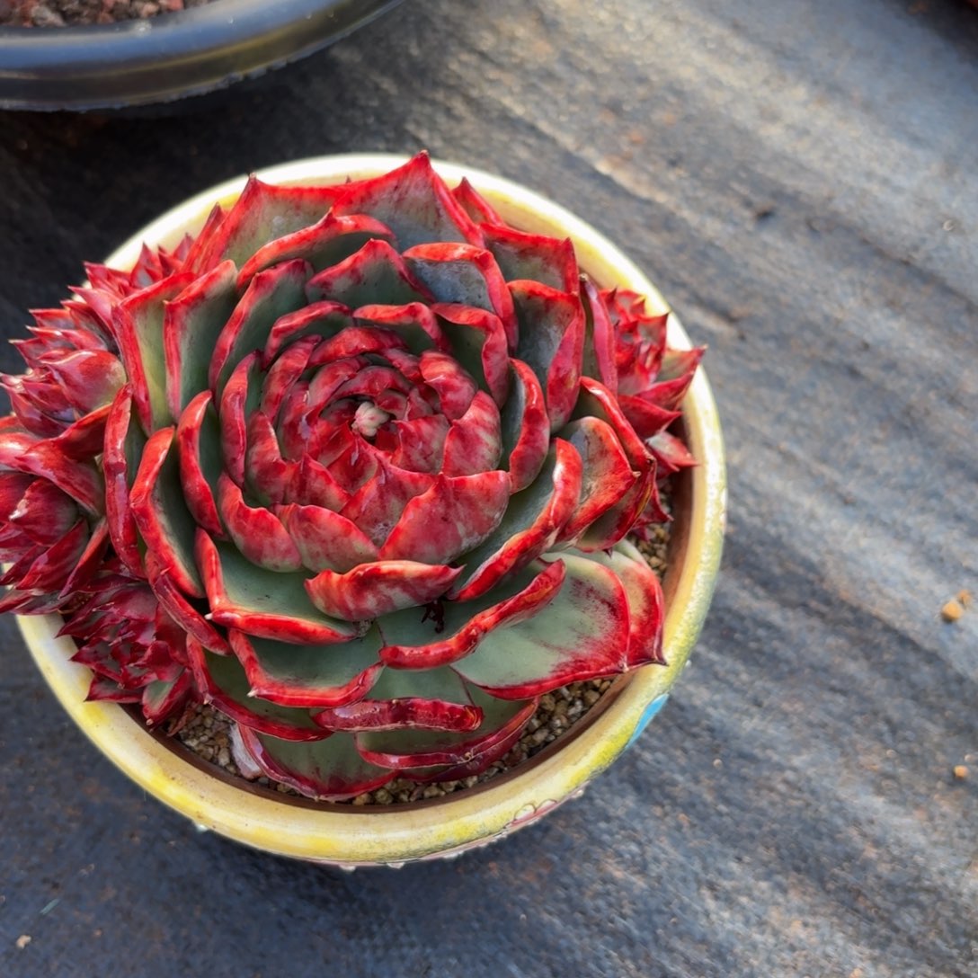 张***张同行哈哈宝贝哈哈哈哈好吧