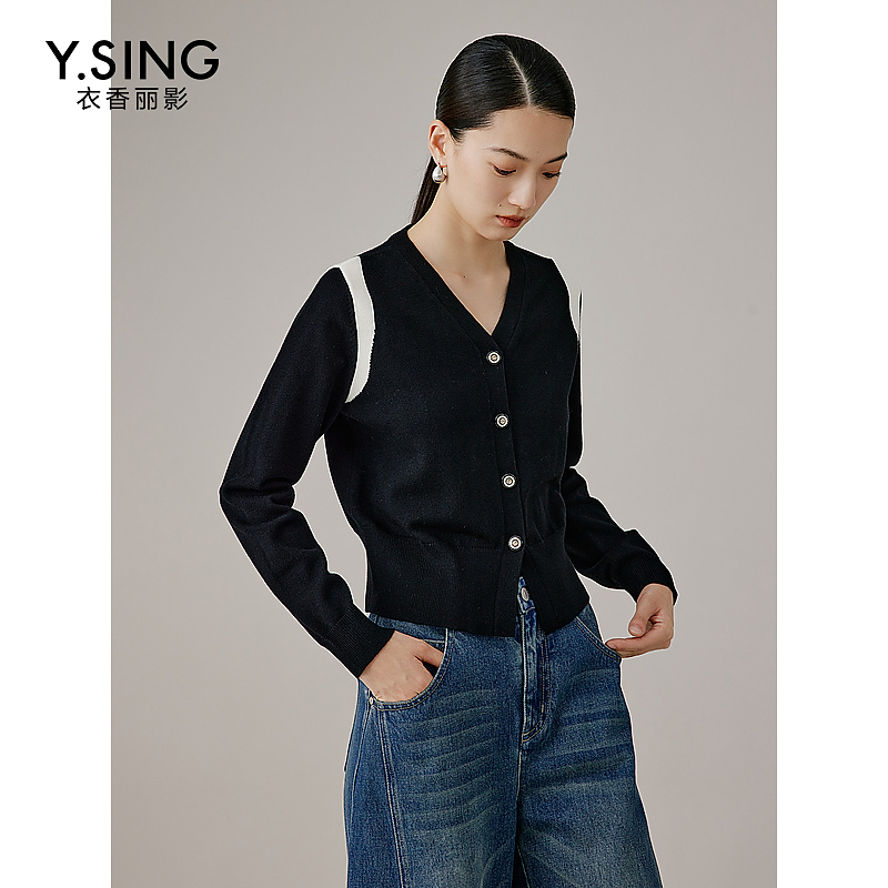 1137【丽公主专属】衣香丽影新款毛针织衫940919005