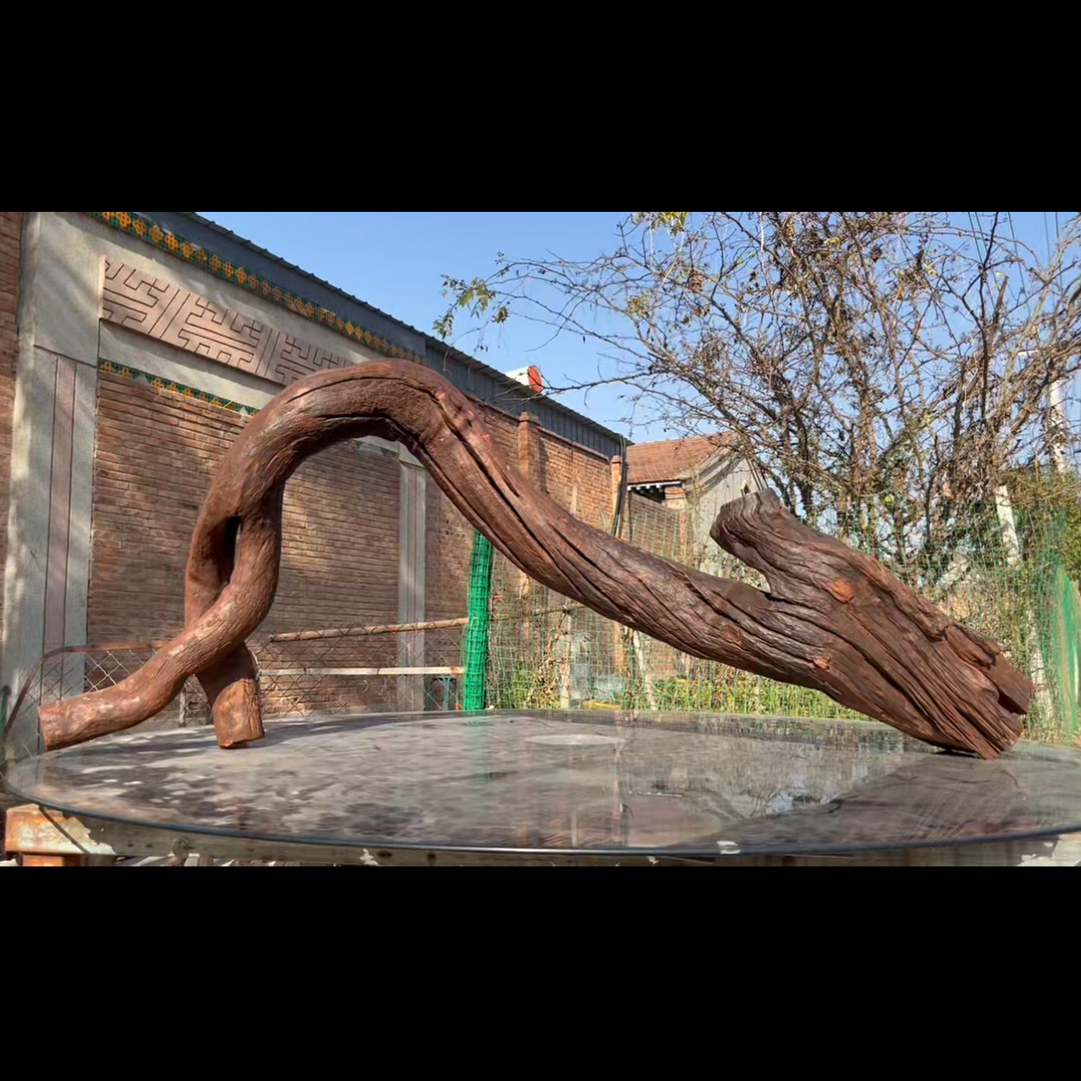 尺寸130×18×55 鱼缸造景沉木摆件，紫柚木，秒沉包煮，树桩沉木