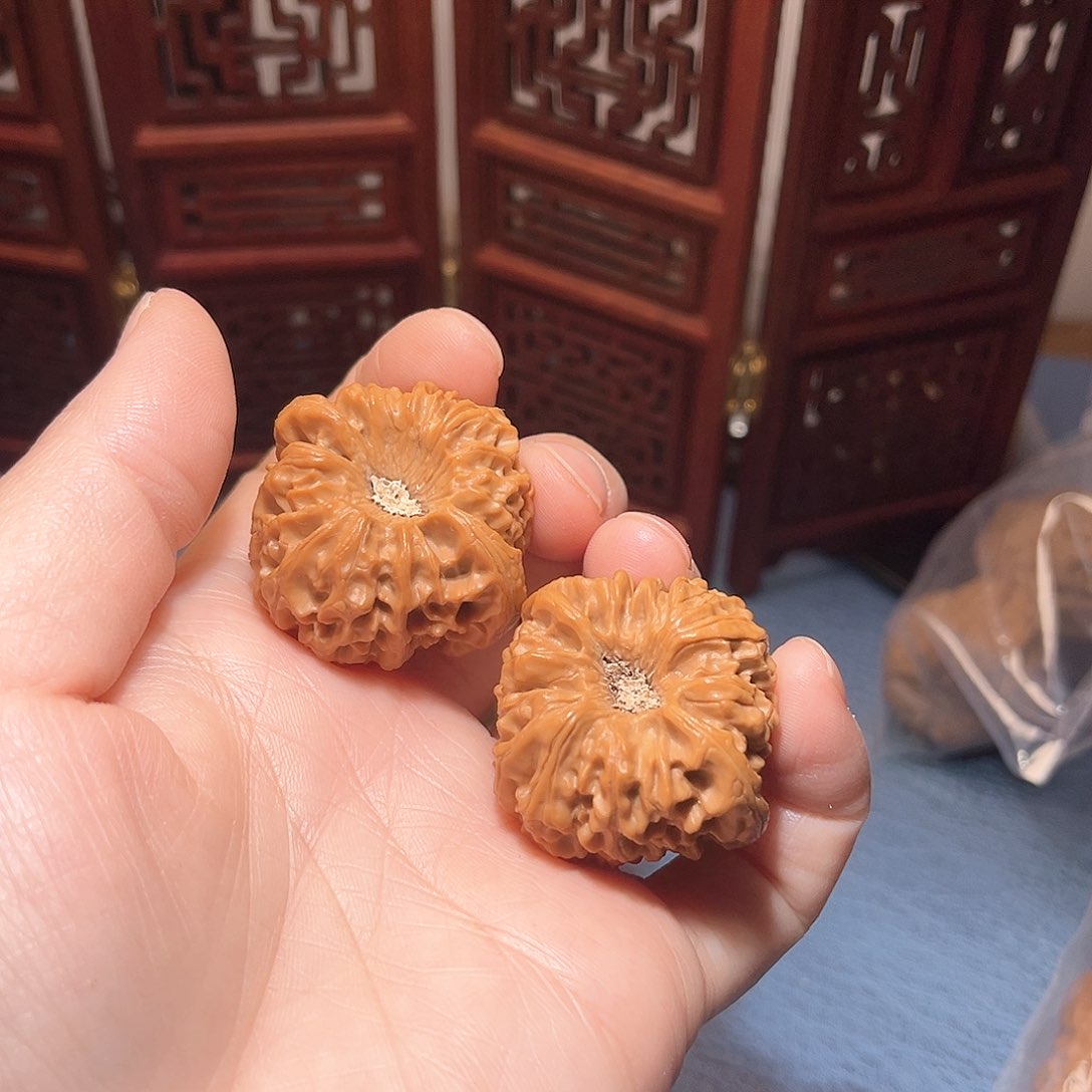 35.5龙门涧，大凹底，橘红