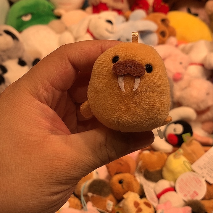 毛绒挂件豆袋哈哈哈哈哈