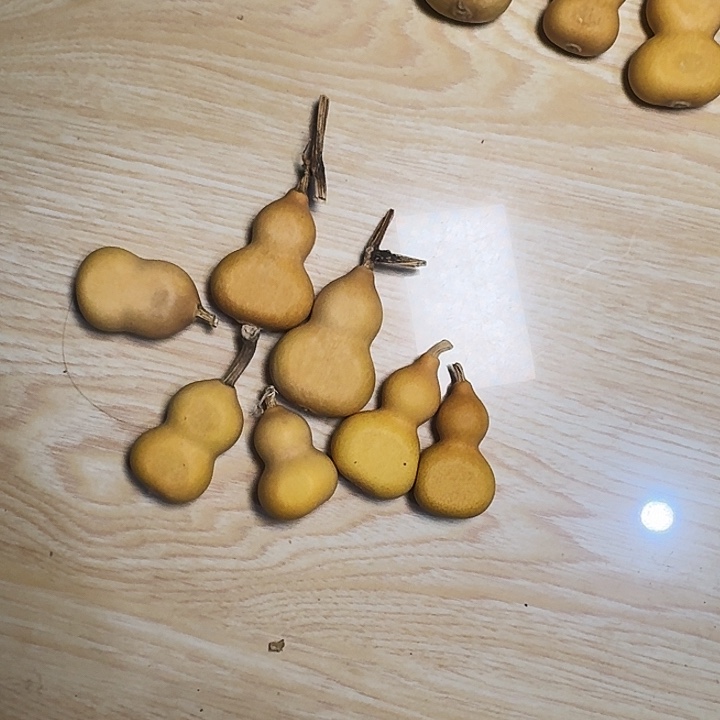 ***葫芦小美专属链接