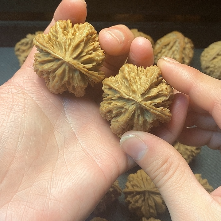 我是一只小小鸟地域鬼