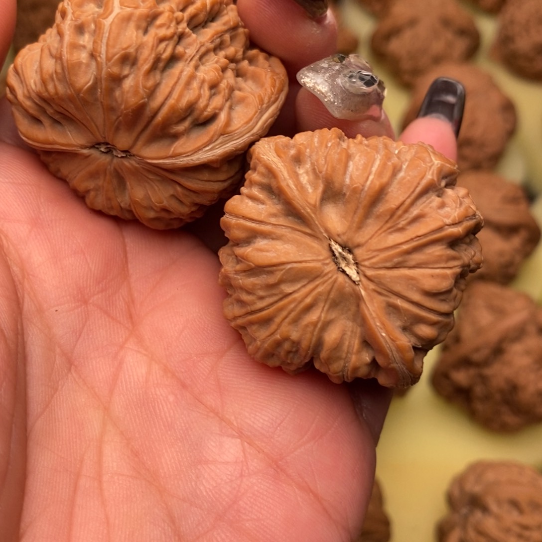 【闪购商品】文玩核桃手把件38尺黑马