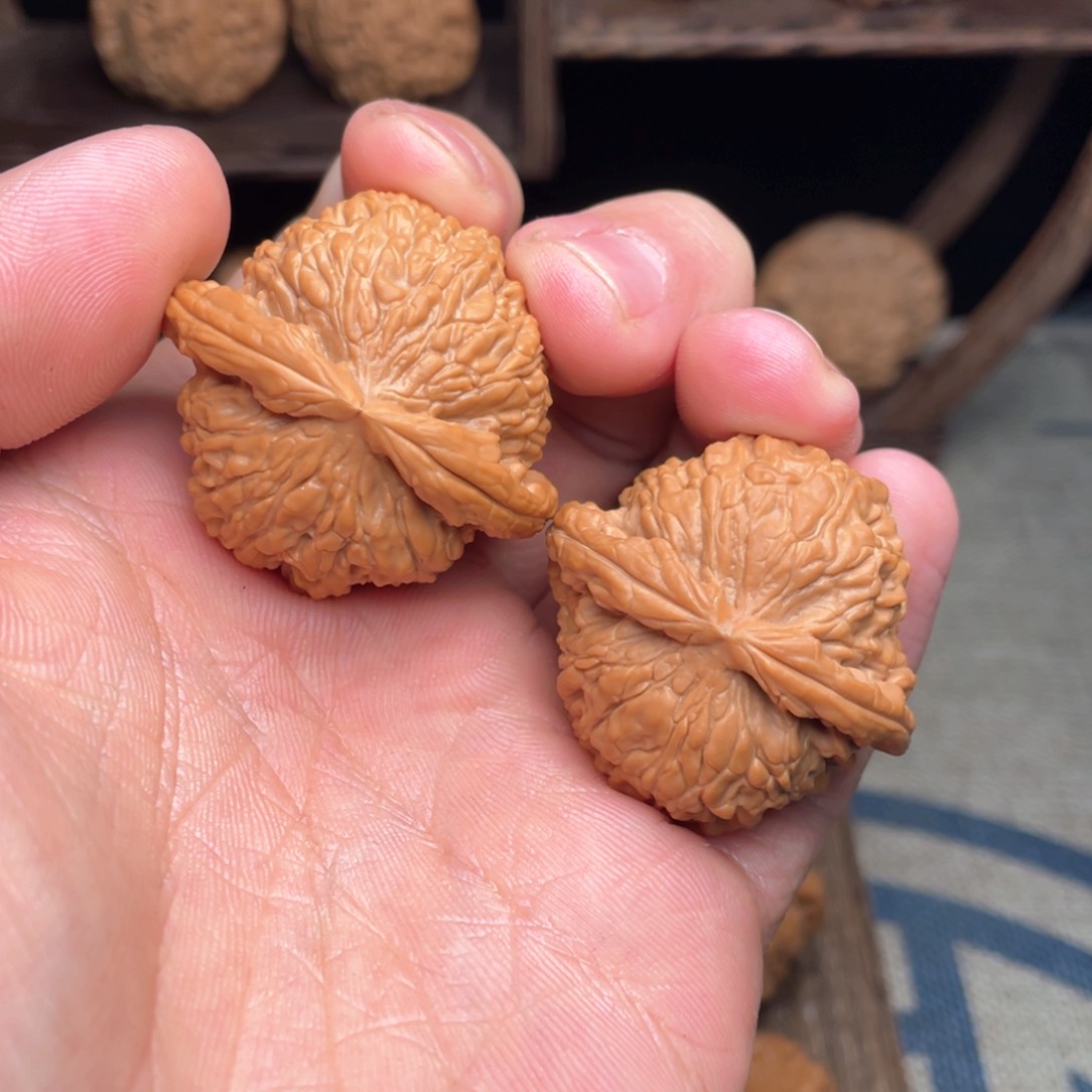 文玩核桃把件39毕业老树白狮子