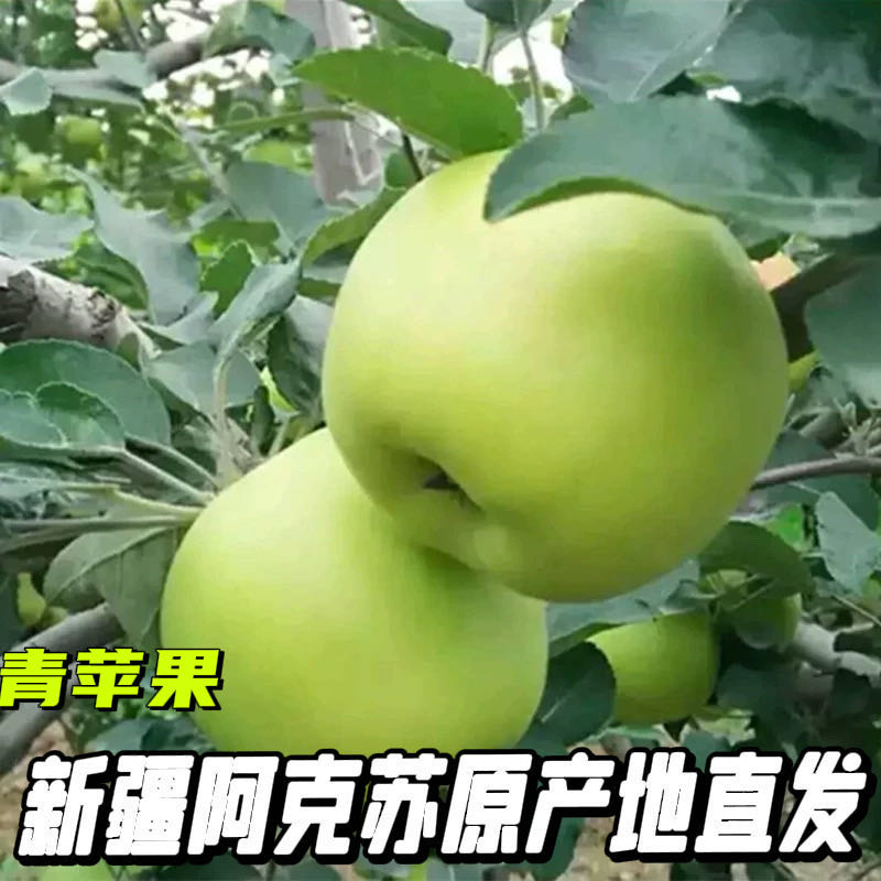 【青绿苹果】酸甜脆孕妇黄香蕉老人应季新鲜水果不打蜡