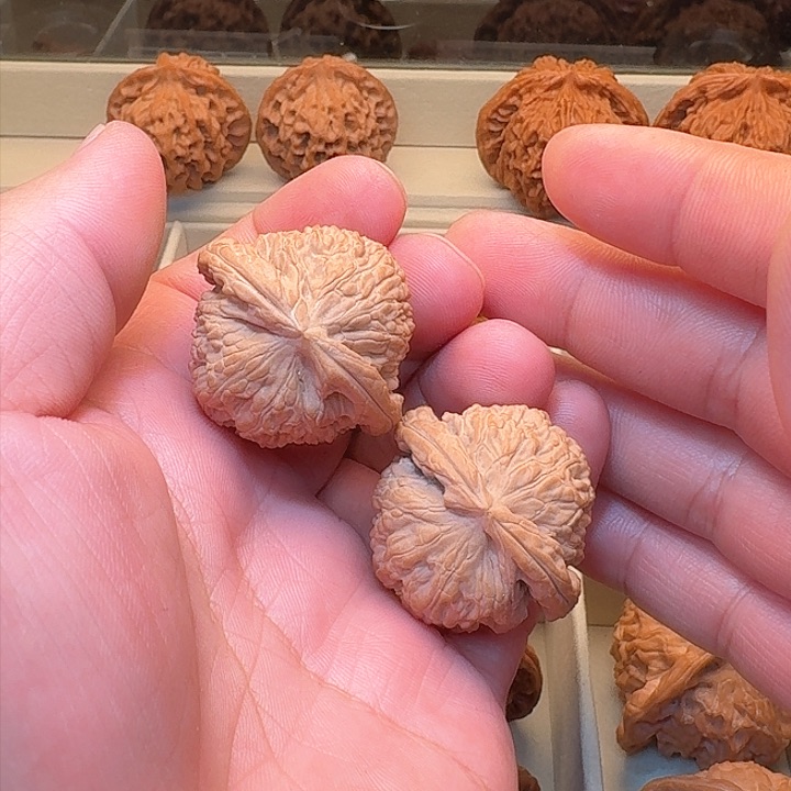 尺寸37全品精配小白狮子上色快