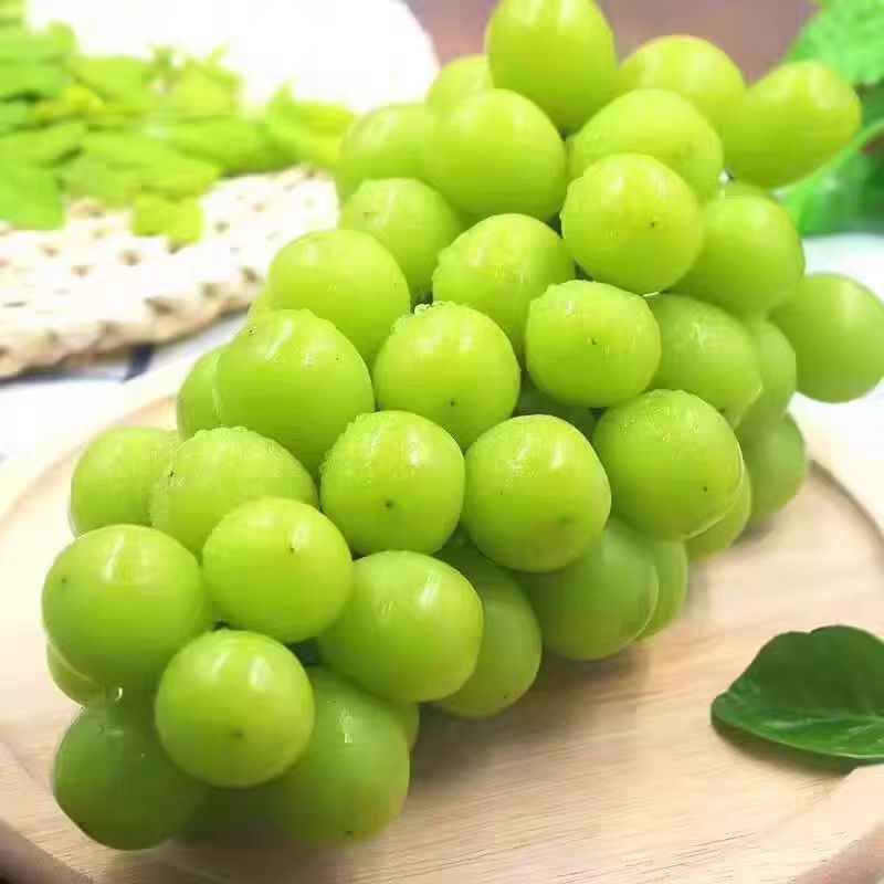 现摘现发高原种植新鲜阳光玫瑰青提装无籽应当季提子山西省
