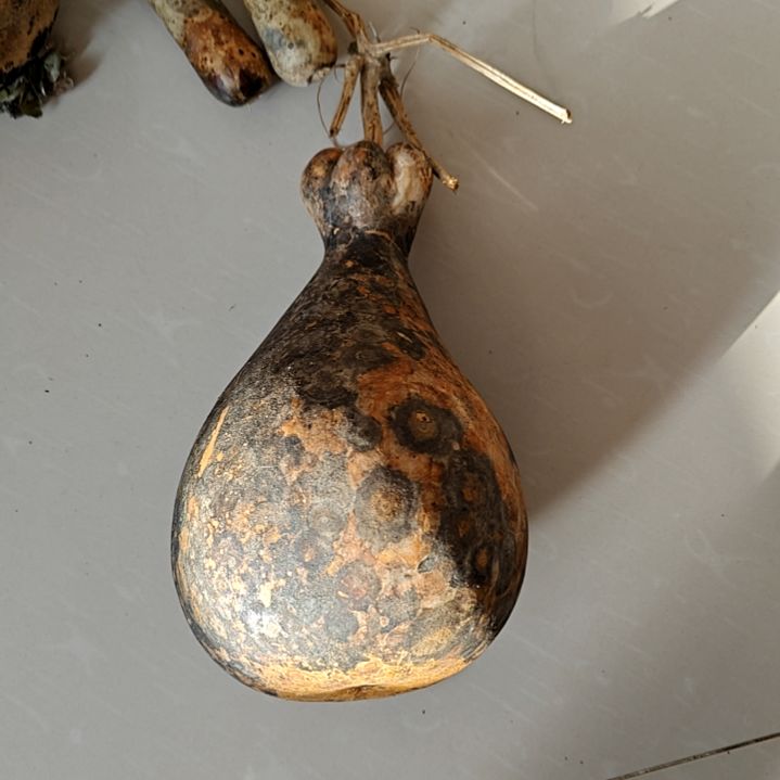 葫芦葫芦葫芦葫芦葫芦