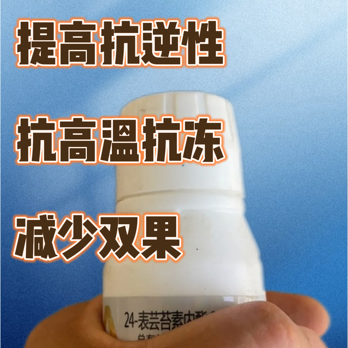 晋吉强预防畸形果缓解植物药害助剂