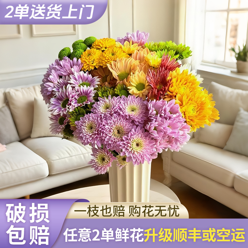 【花王朝甄选】小菊/任意2单鲜花升级快递发货后不支持退款