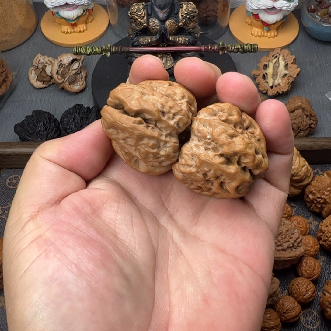 41边44肚蛤蟆头四开背