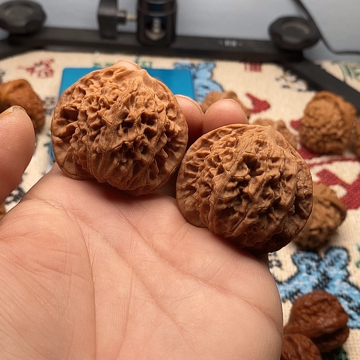 文玩核桃把件盘龙纹