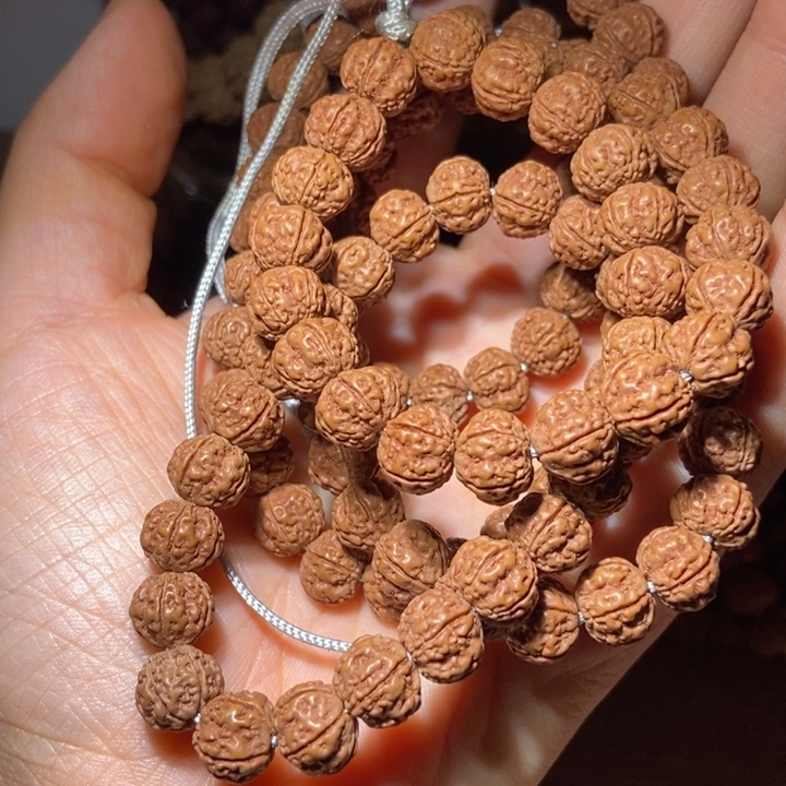 菩提宿***乄108e w qe r t t r r