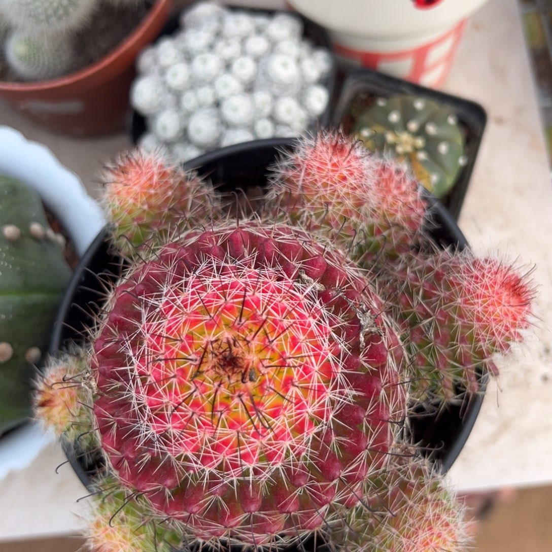 蛋***宝零零落落 零零落落