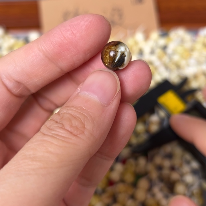 蜜蜡未镶嵌裸石10.1mm一个