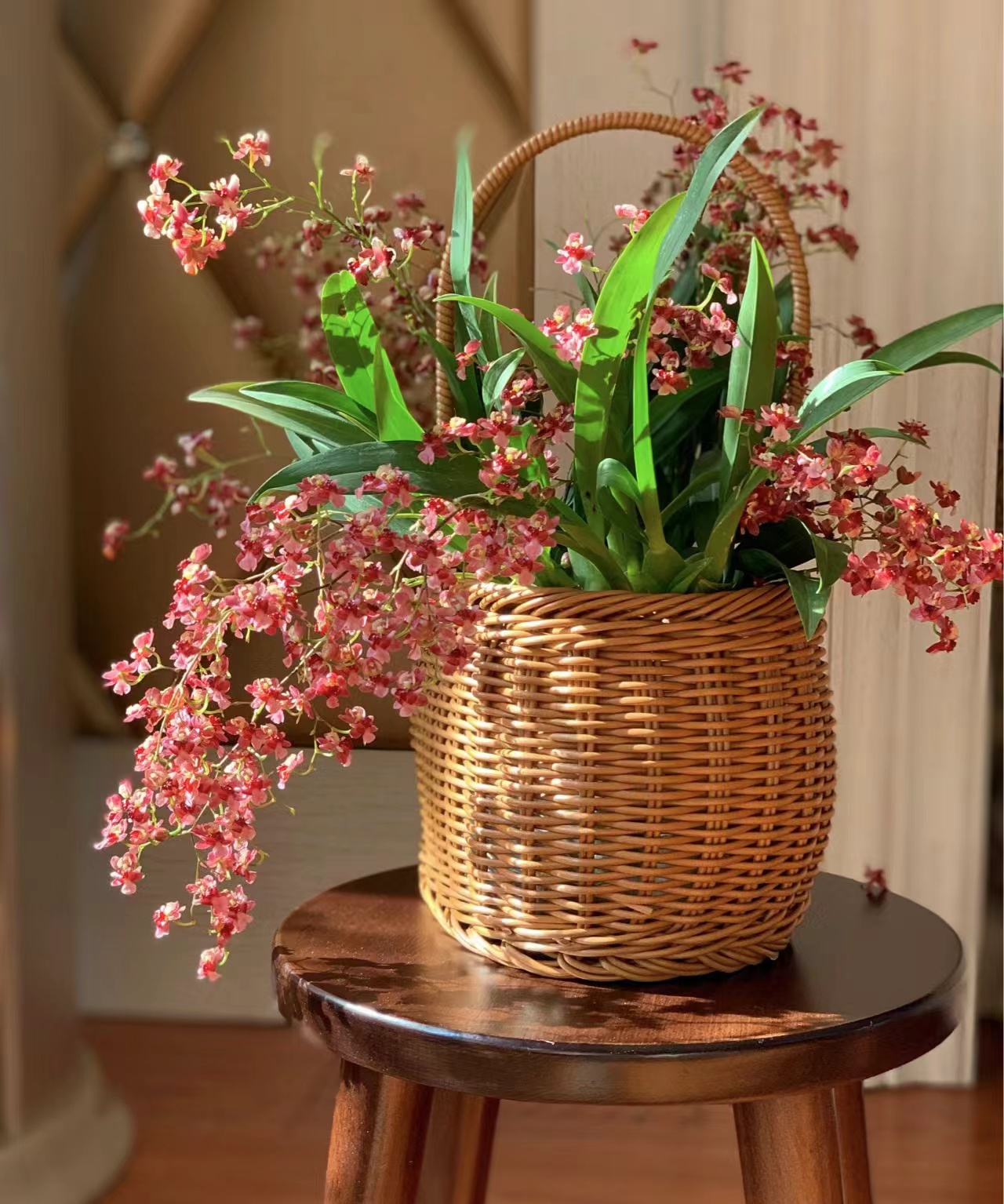 梦香兰（满堂红130盆 15支花剑起 ）精品兰花绿植盆栽