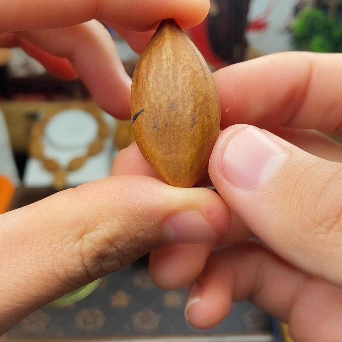 手串/手链橄榄核nbbhhhhhhhhjjhhhh