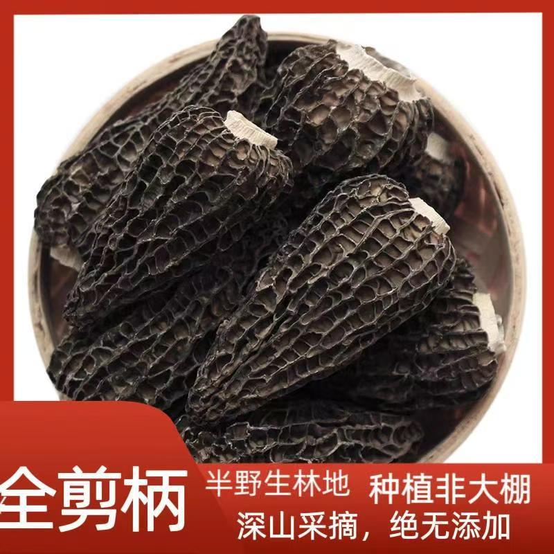 高山林地种植头茬全剪脚七妹新货菌菇汤料包炖汤羊肚菌