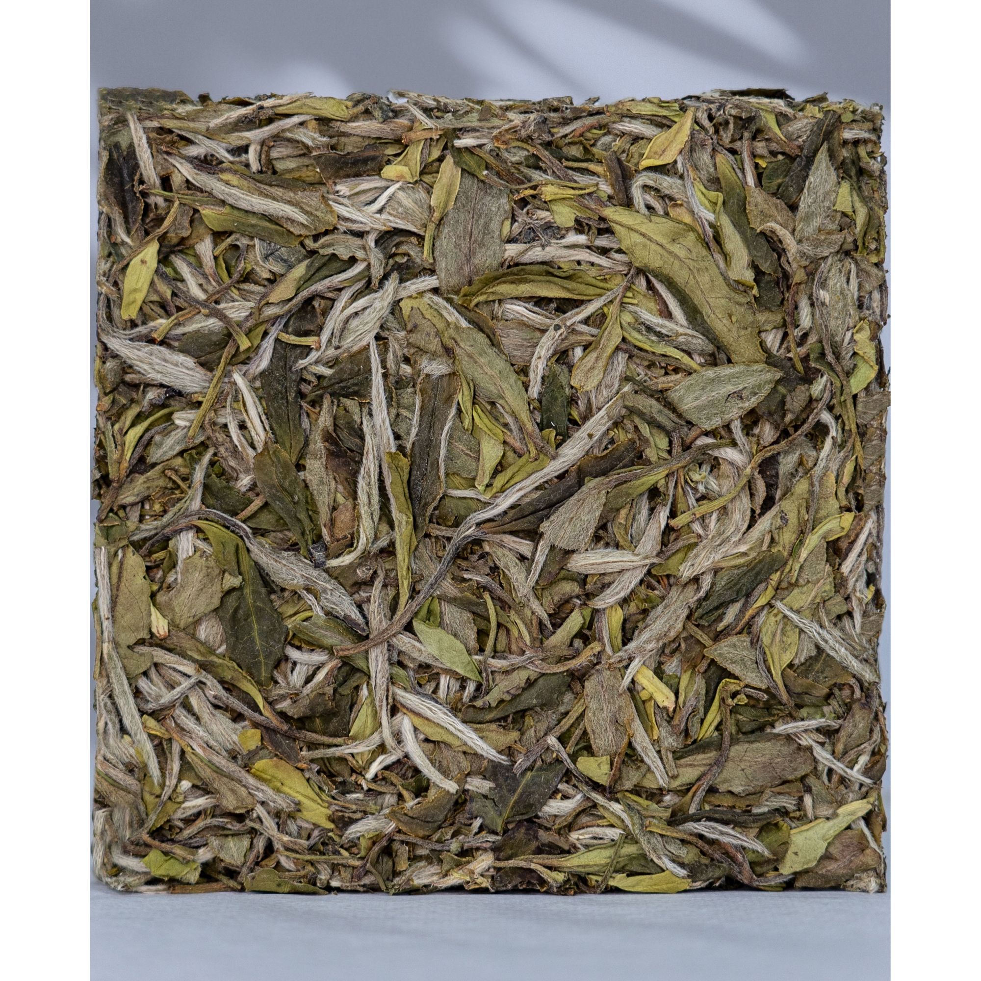 【老李的私藏茶】丨2022年白牡丹小方砖100克 福鼎白茶 核心产区