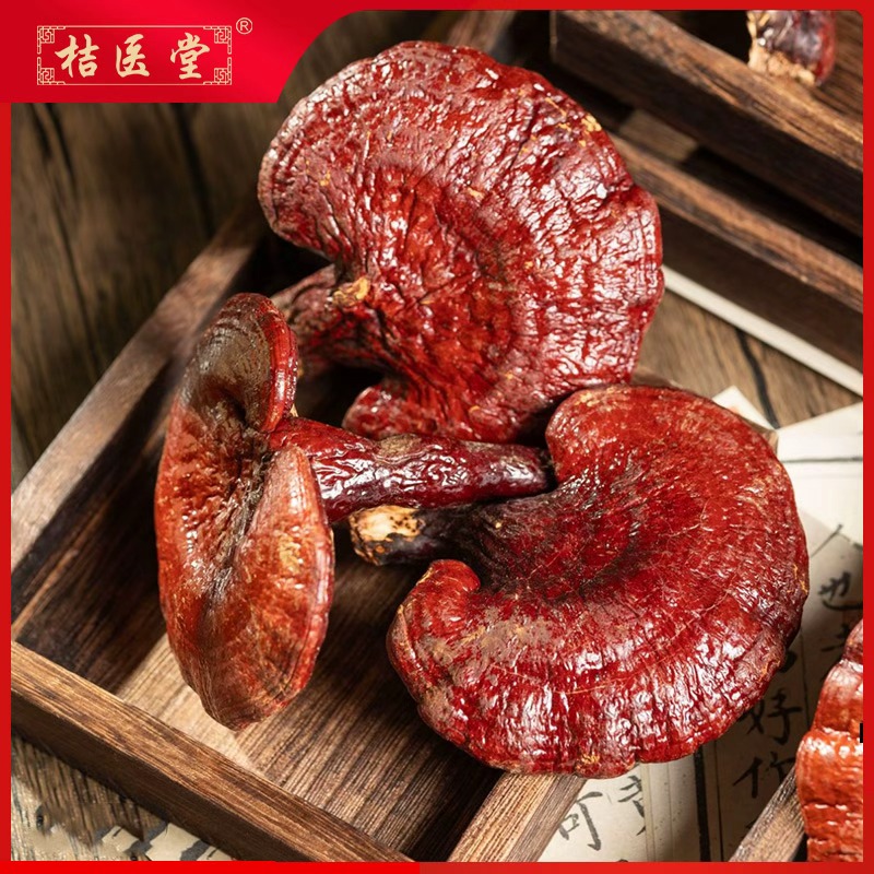 【正宗赤灵芝】精选正品泡酒源头厂家直销泡酒