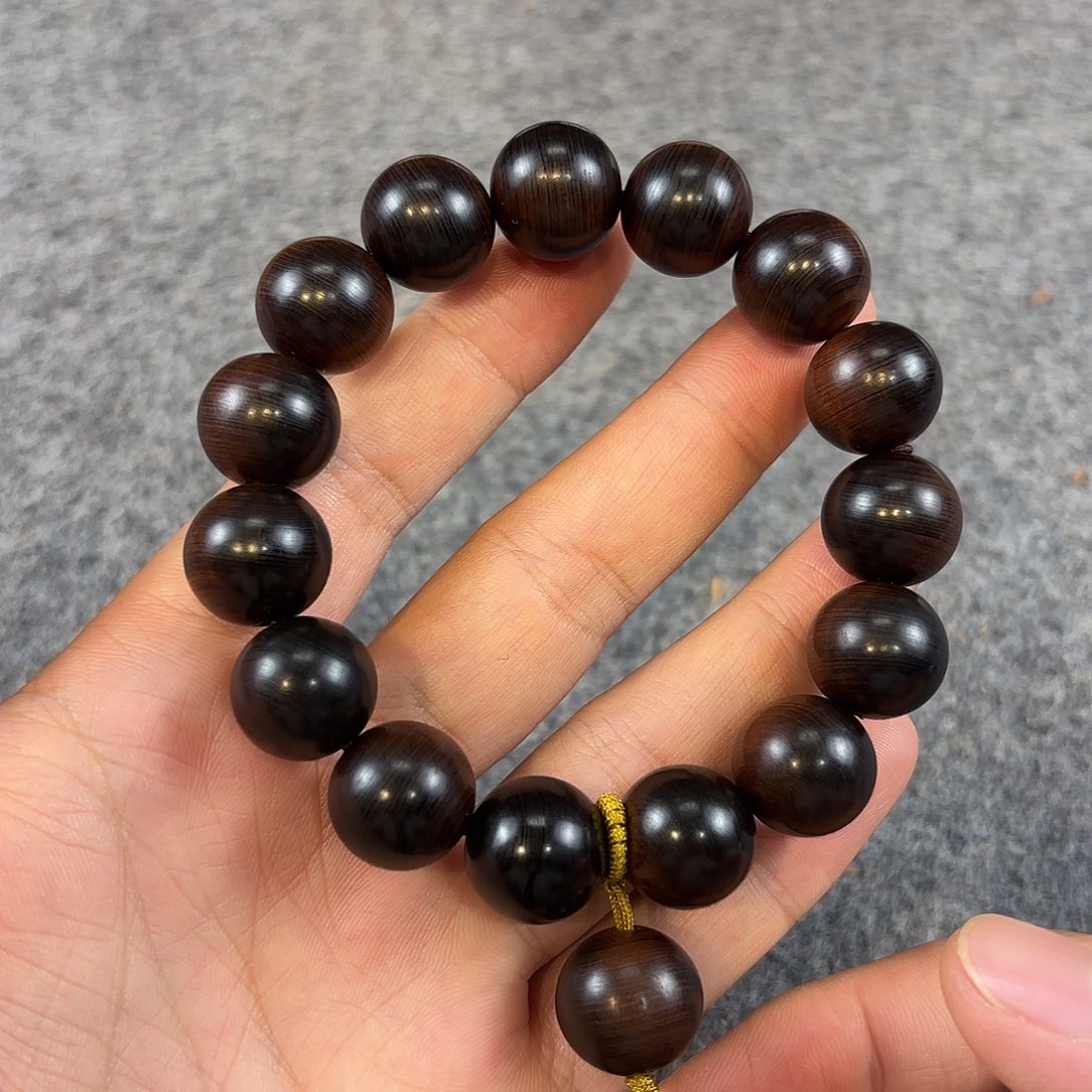 崖柏太行崖柏雷雷1.5