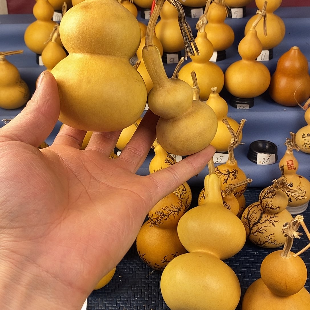 一物一拍，所见即所得