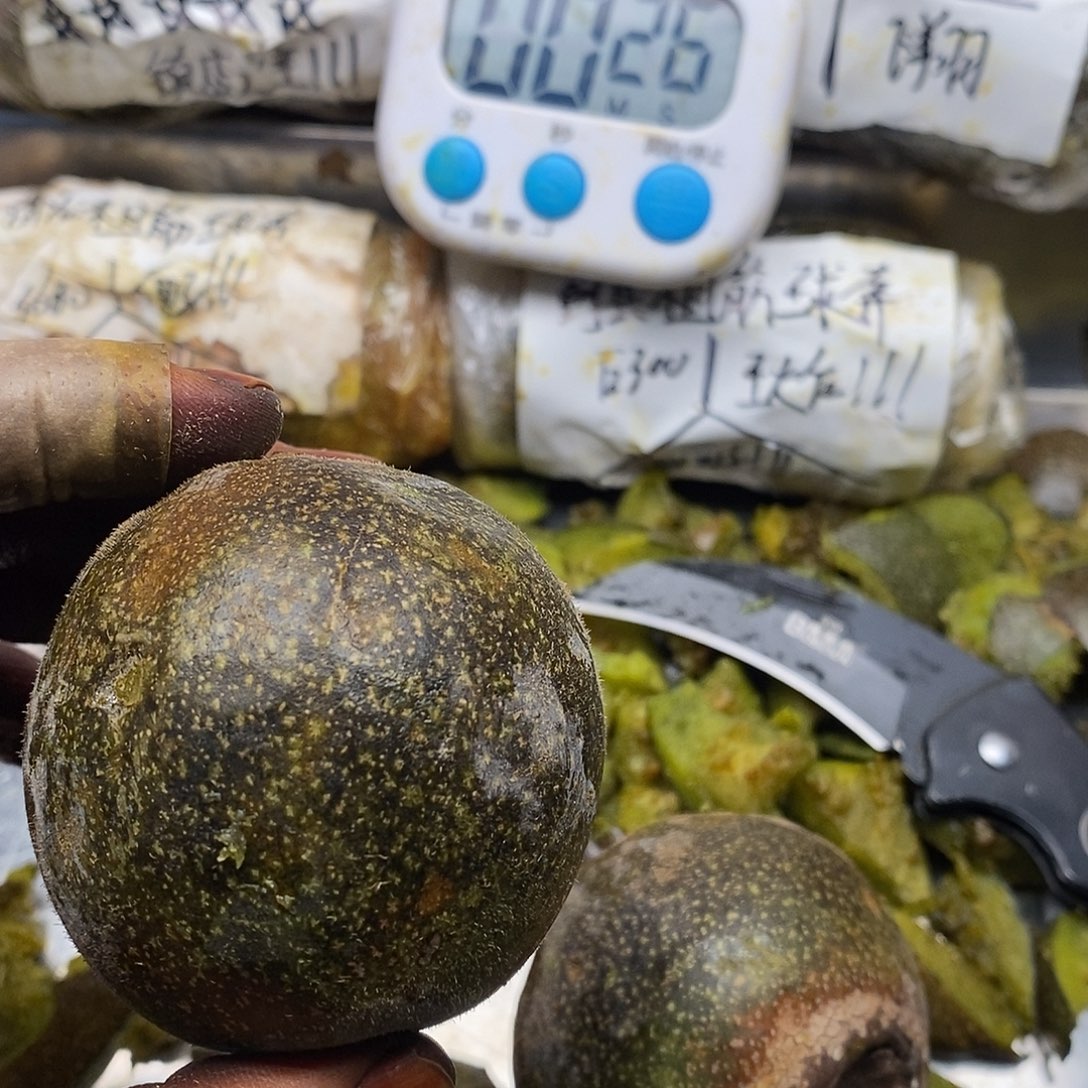 ****出j美女你看看姐姐