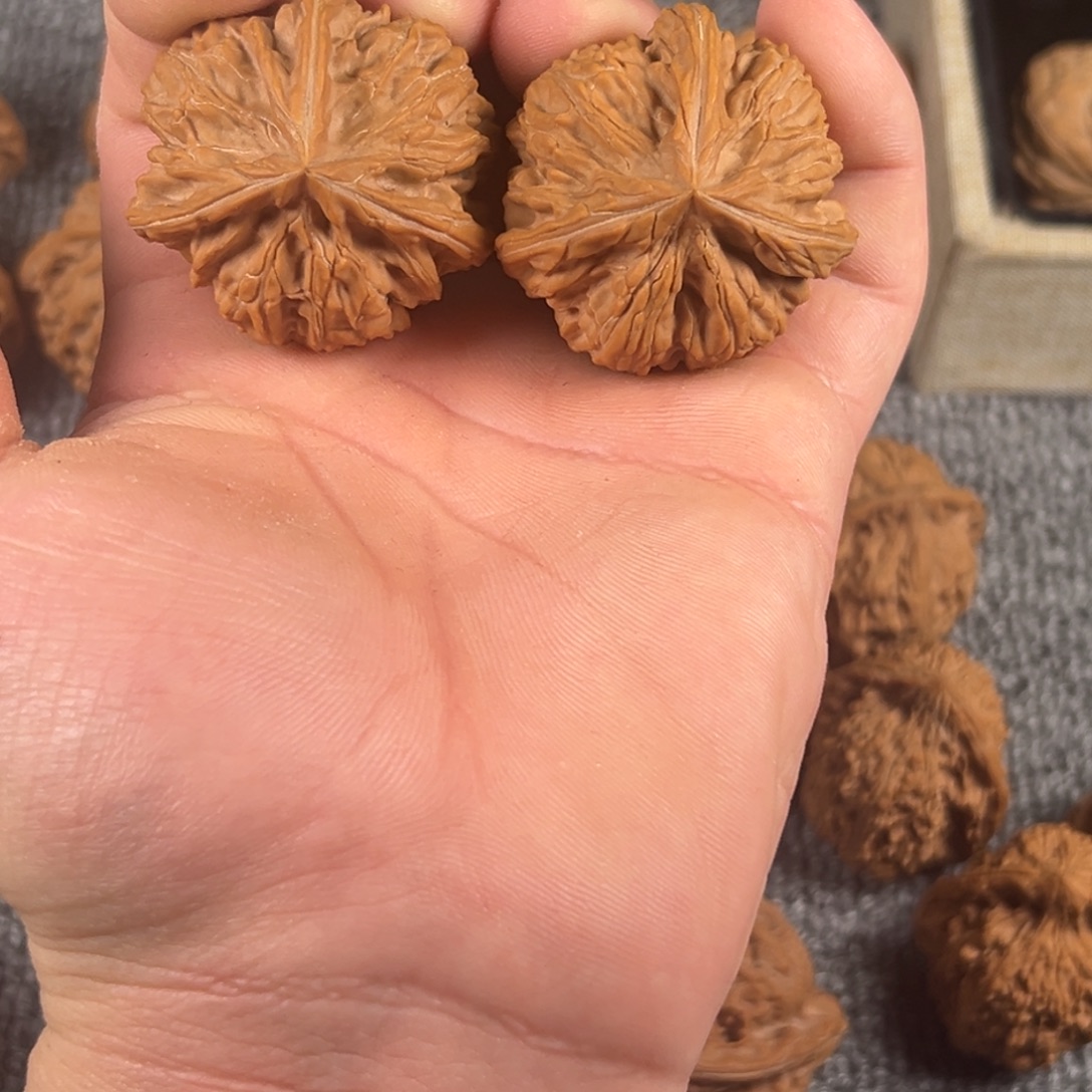 吊坠文玩核桃40尺文山三棱5号