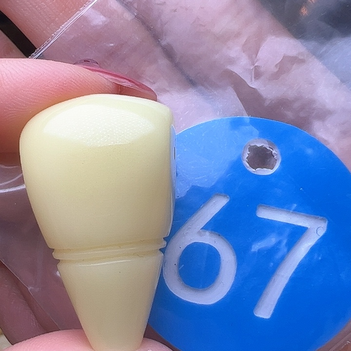 蜜蜡裸石未镶嵌19mm  浓蜡 三通