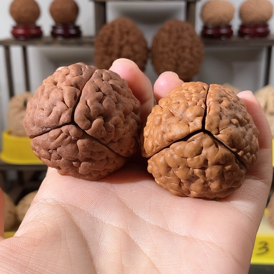 把件文玩核桃三瓣脑纹金刚练手色差4350