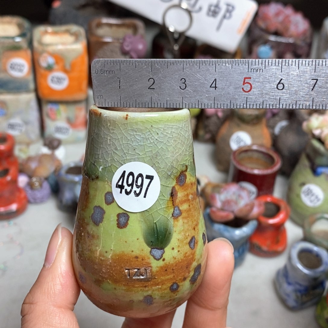 花盆拍5送一个小礼物