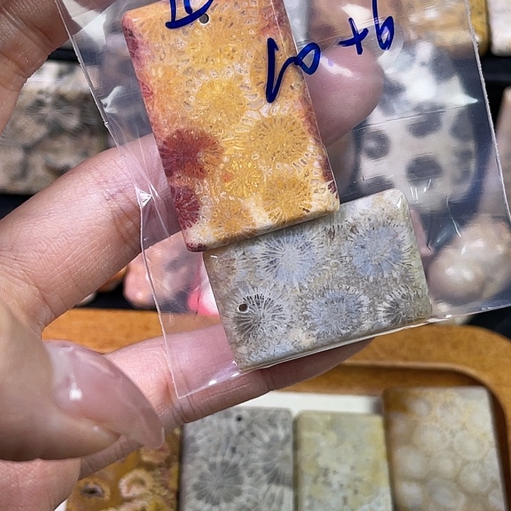 硅化珊瑚（珊瑚玉）珠宝金石合金丑****?